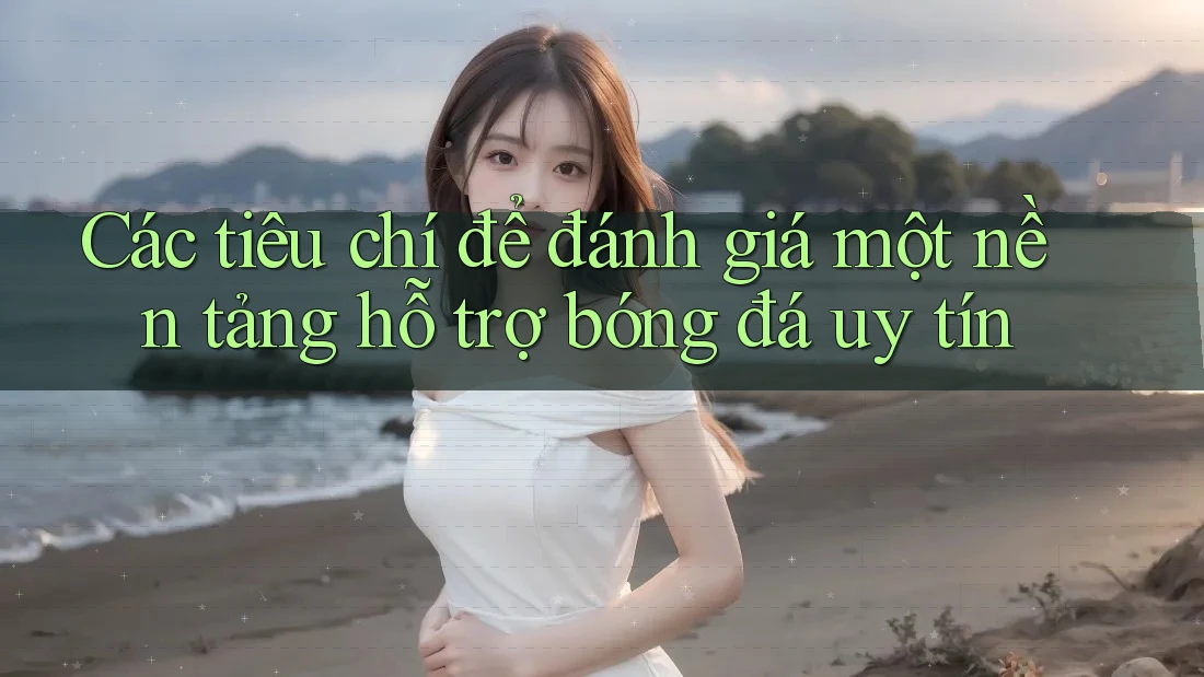 Các tiêu chí để đánh giá một nền tảng hỗ trợ bóng đá uy tín Các tiêu chí để đánh giá một nền tảng hỗ trợ bóng đá uy tín
