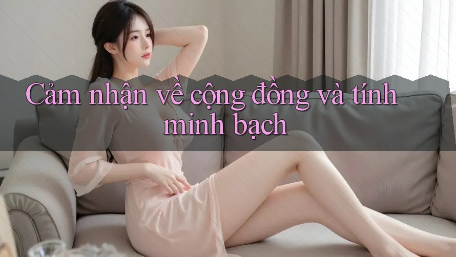 Cảm nhận về cộng đồng và tính minh bạch Cảm nhận về cộng đồng và tính minh bạch