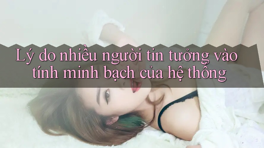 Lý do nhiều người tin tưởng vào tính minh bạch của hệ thống Lý do nhiều người tin tưởng vào tính minh bạch của hệ thống
