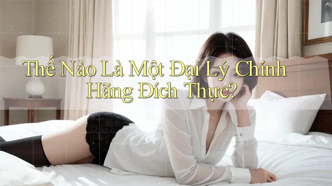 Thế Nào Là Một Đại Lý Chính Hãng Đích Thực? Thế Nào Là Một Đại Lý Chính Hãng Đích Thực?